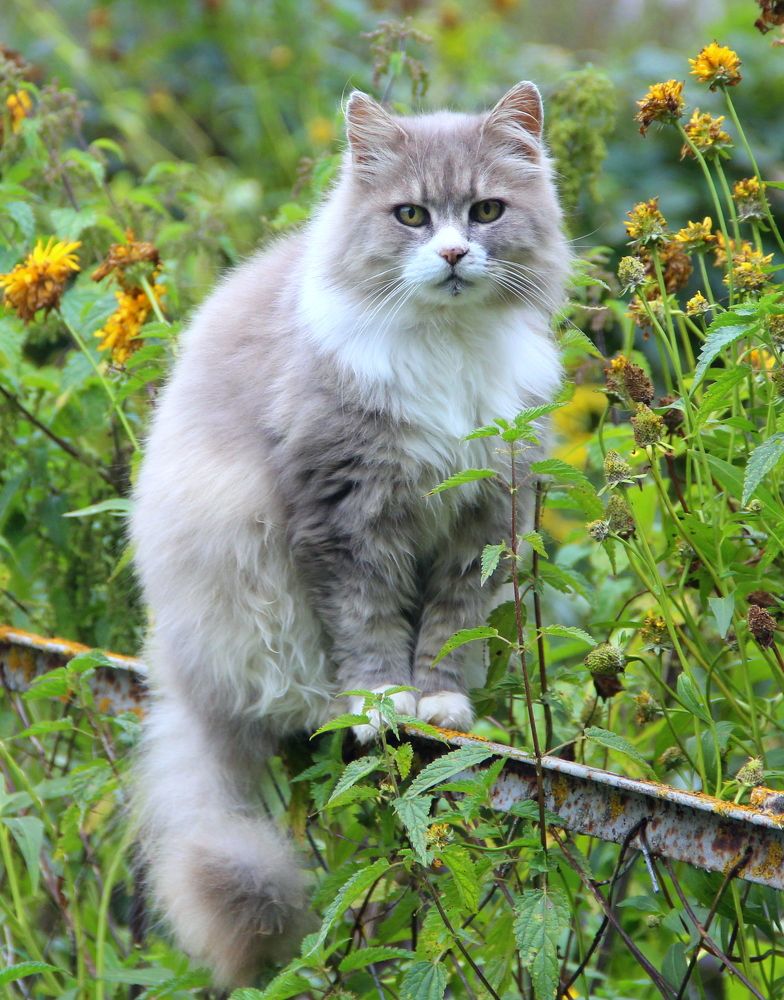 Photograph by Жанна Нечаева