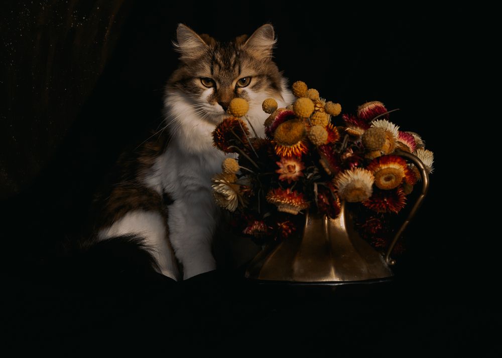 Photograph by Elena Kilina