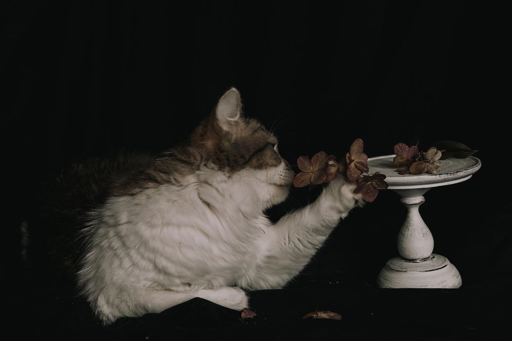 Photograph by Elena Kilina