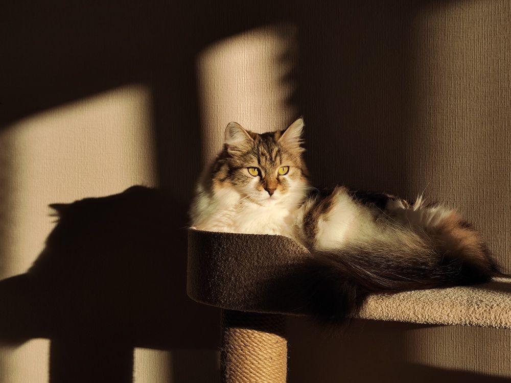 Photograph by Elena Kilina