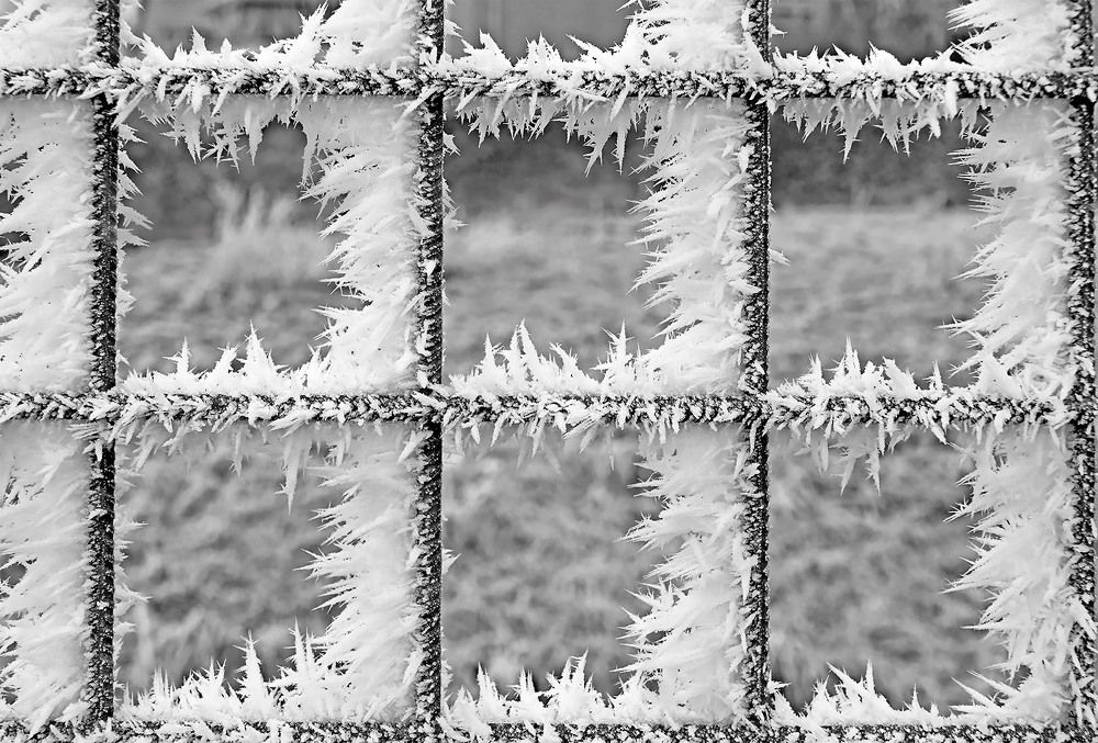 Photograph by Marjo Steffen