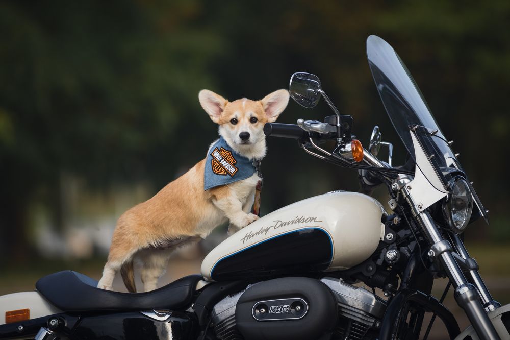 Photograph by Владислава Протащик