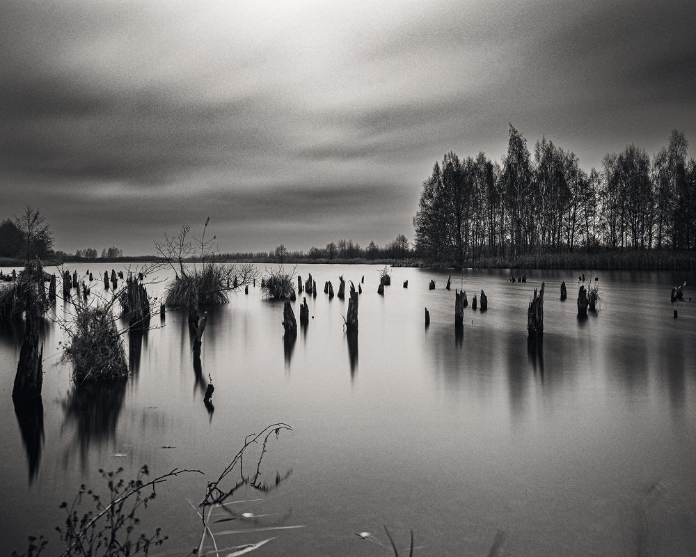 Photograph by Aliaksei Shandalin