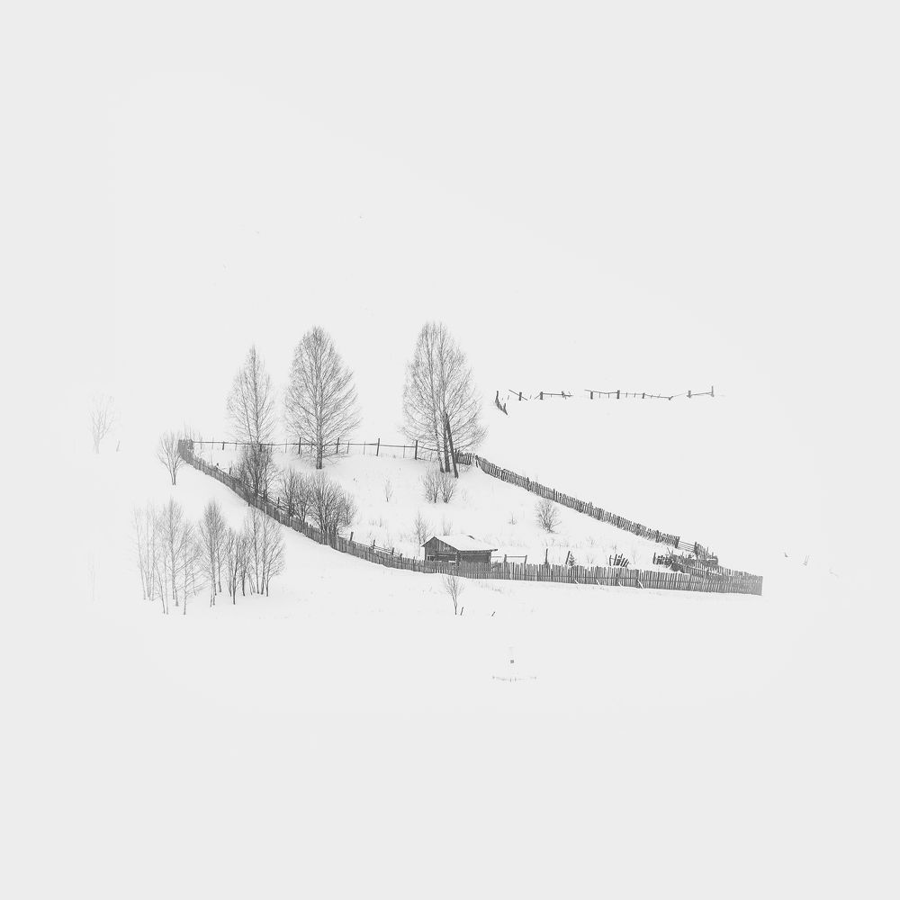 Photograph by Силантьев Даниил