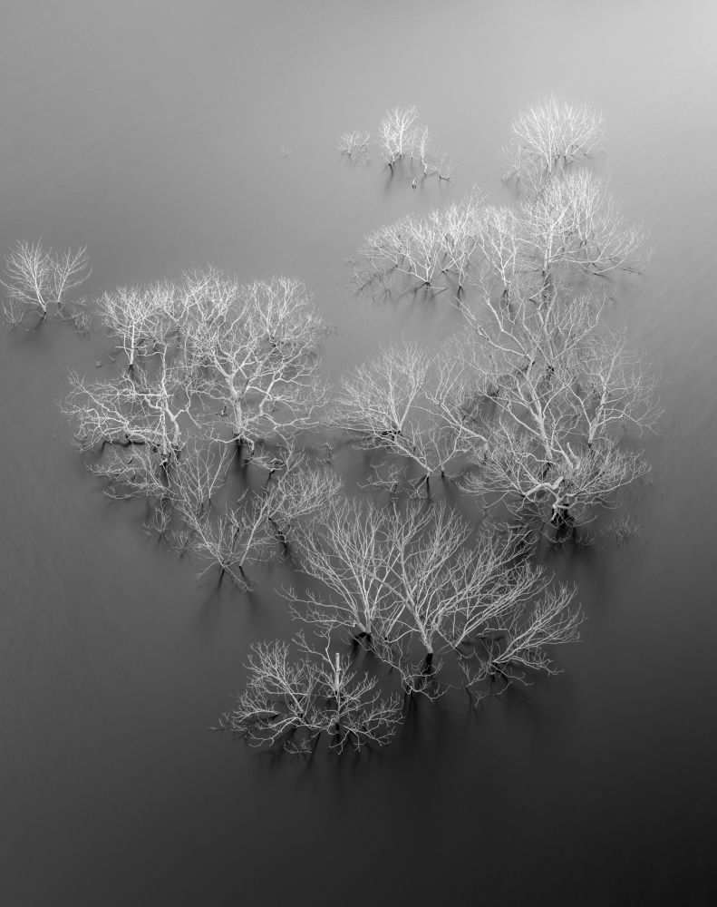 Photograph by Manh Cuong Truong