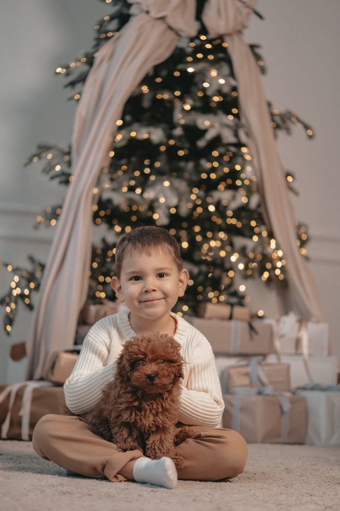 Фотография автора Анна