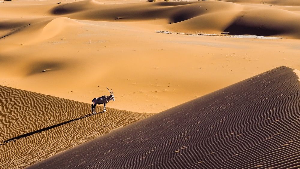 Photograph by Павел Сазанов