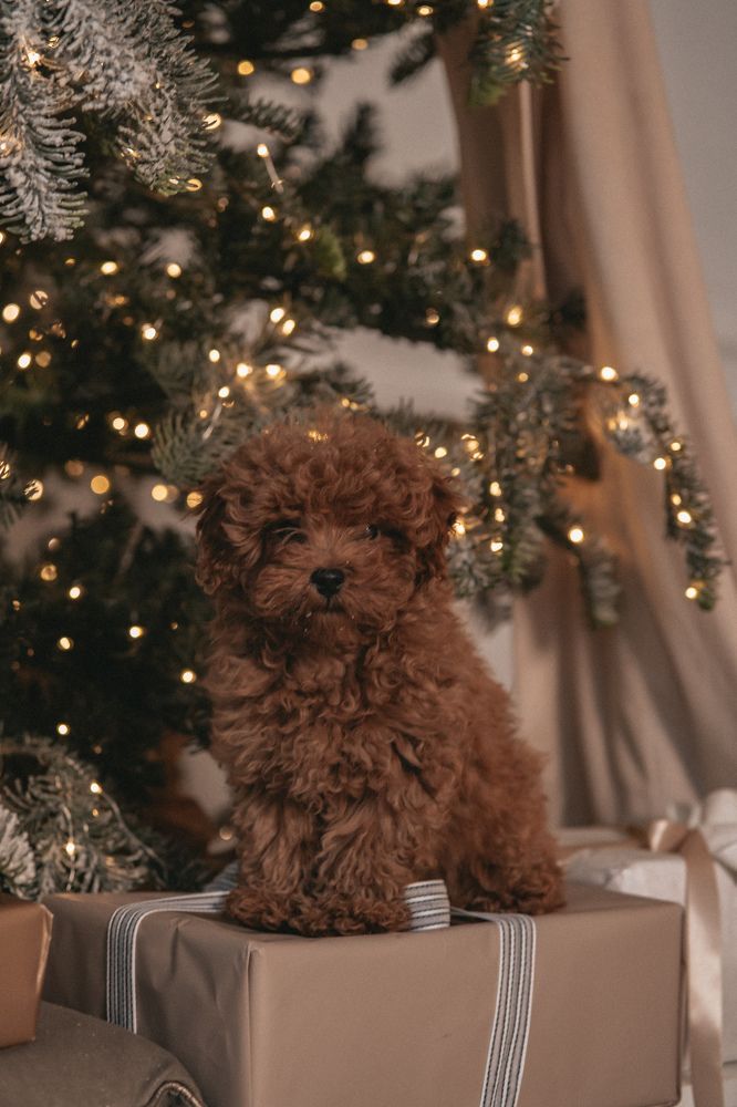 Фотография автора Анна