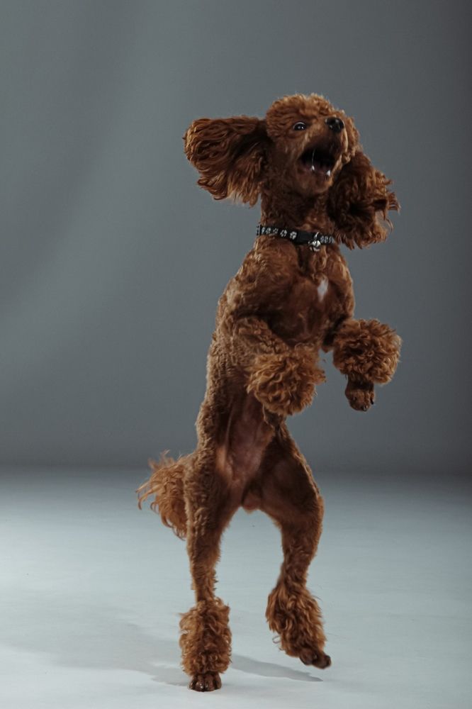 Photograph by Игорь Жариков