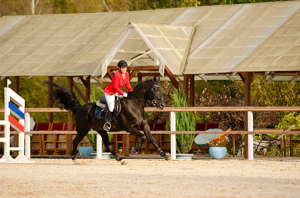 Photograph by Алена Сидорова