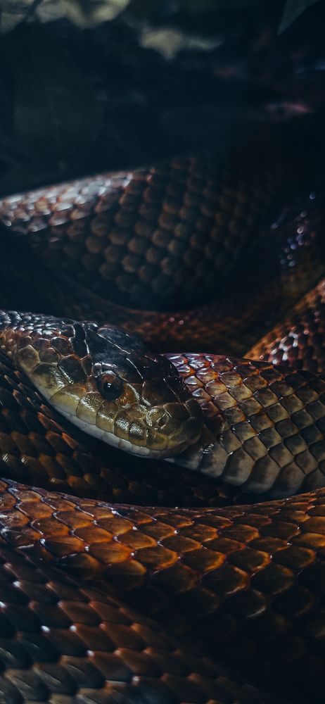 Photograph by Павел Ермилов