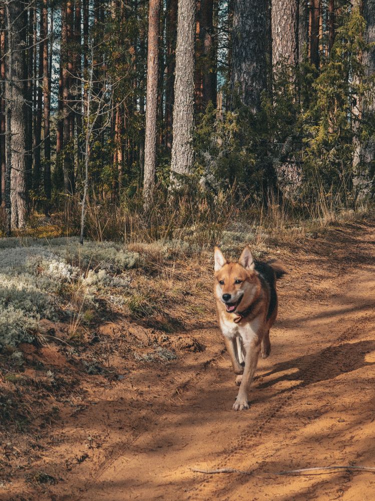 Фотография автора Данилова Наталья
