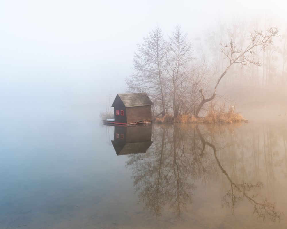 Фотография автора David Palička