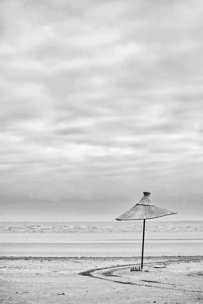 Photograph by Денис Ефимочкин