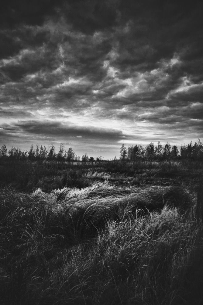 Photograph by Денис Ефимочкин