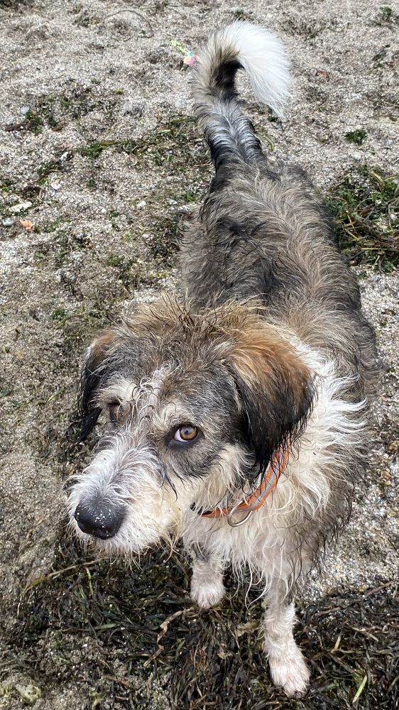 Photograph by Светлана Фесенко