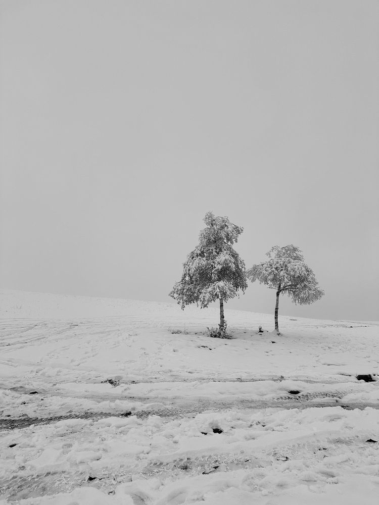 Фотография автора Татьяна Брык