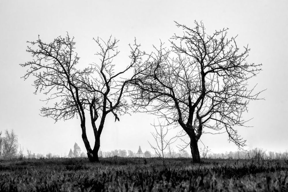 Фотография автора Oleg Podlesnykh