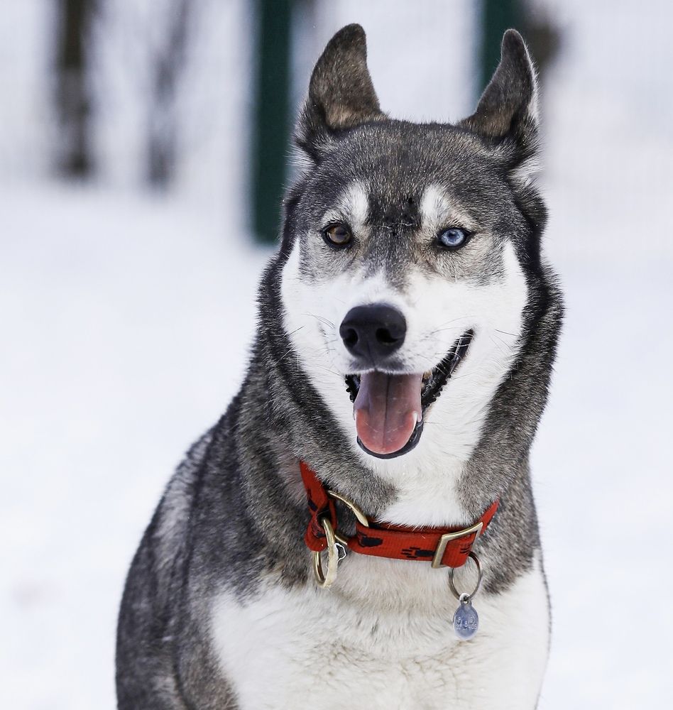 Photograph by Елена Одынец