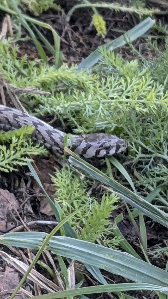 Photograph by Lilit Petrosyan