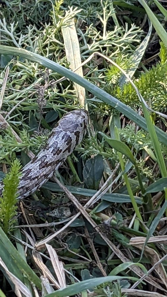 Photograph by Lilit Petrosyan