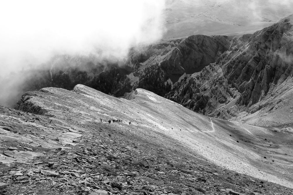 Фотография автора Micca