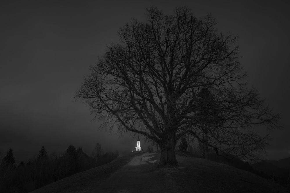 Photograph by Alain Veldin