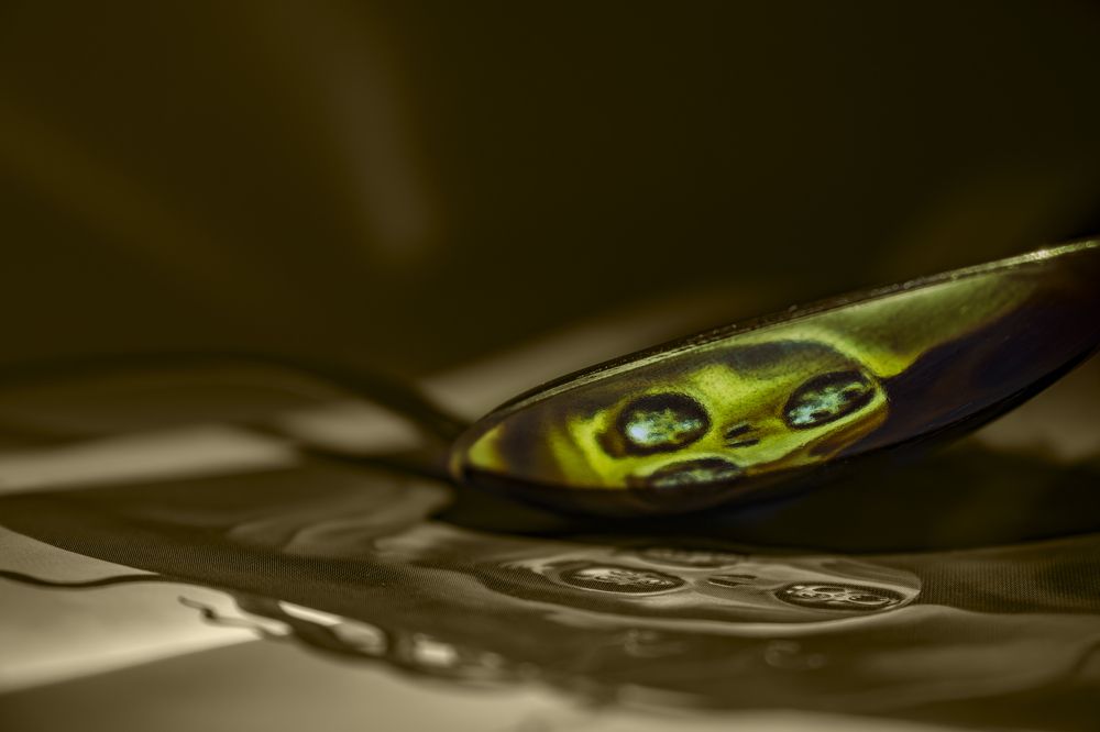 Photograph by Victoria Mogulyan