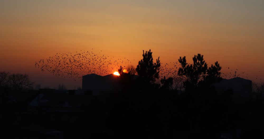 Фотография автора Ashik Hovhannisyan