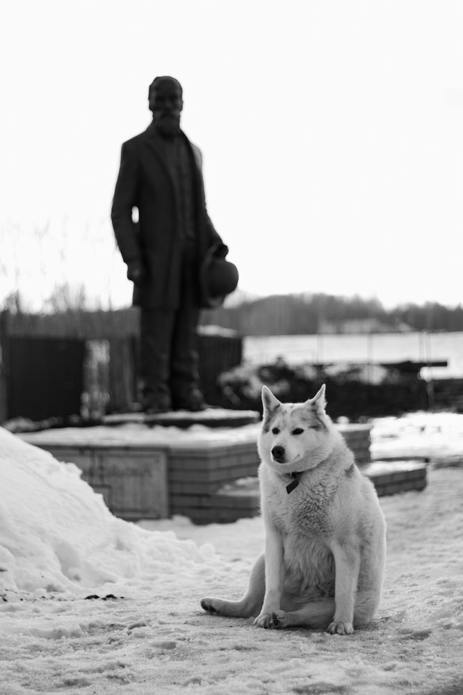 Photograph by Марина Дмитриевская