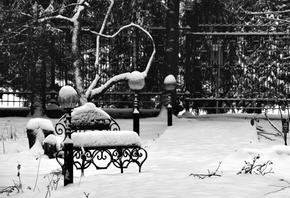 Ботанический сад в Брянске