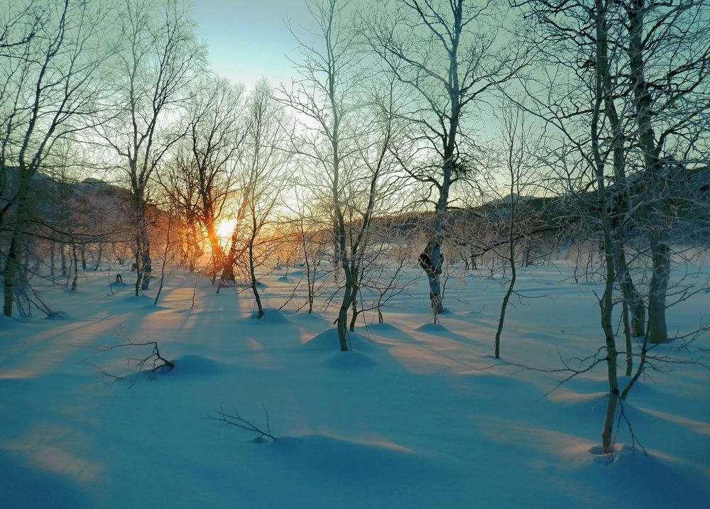 Photograph by Любовь Короткина