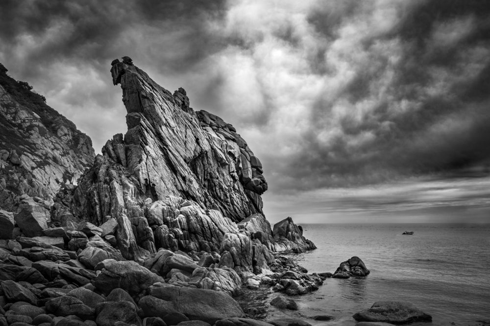 Photograph by Ольга Мусиенко