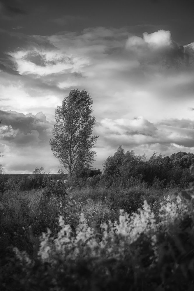 Тревожный август