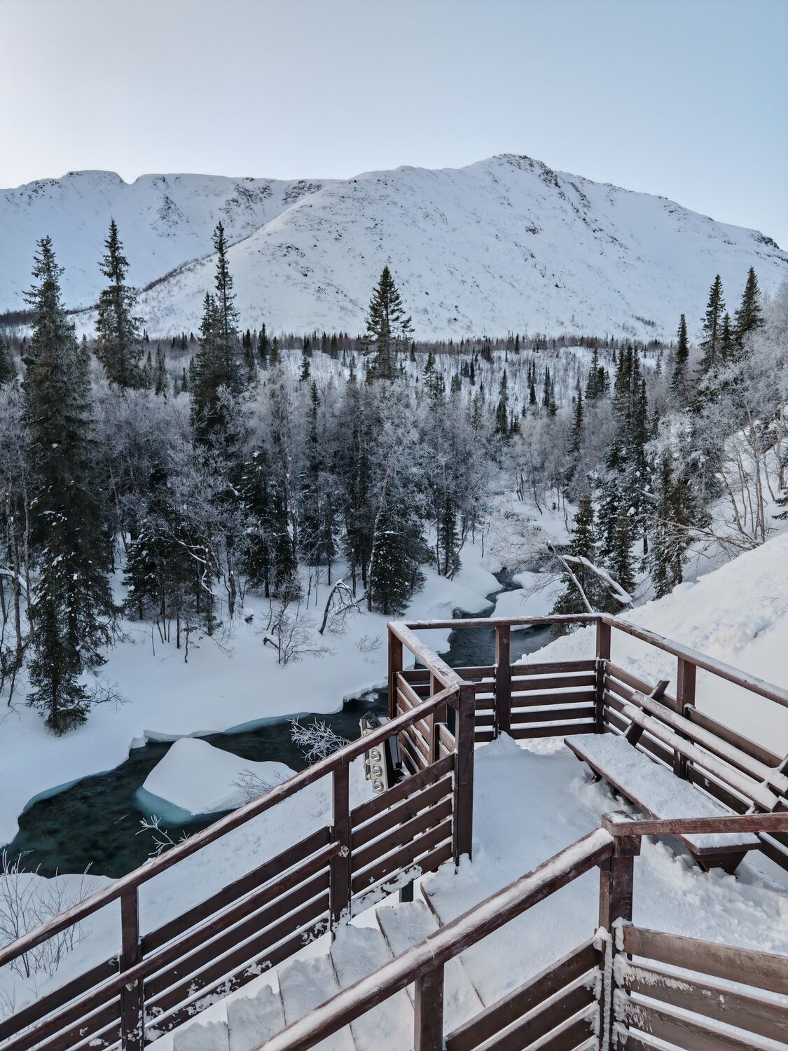 Photo #11595977
