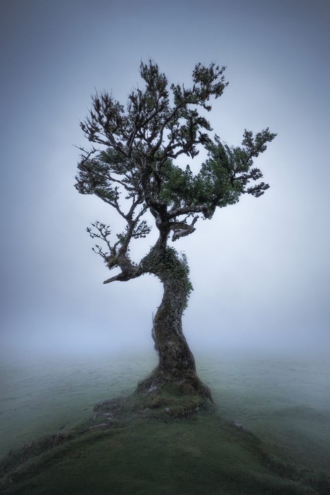 Photograph by Jose Uceda