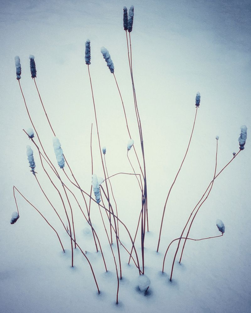 Photograph by Александра Некрасова