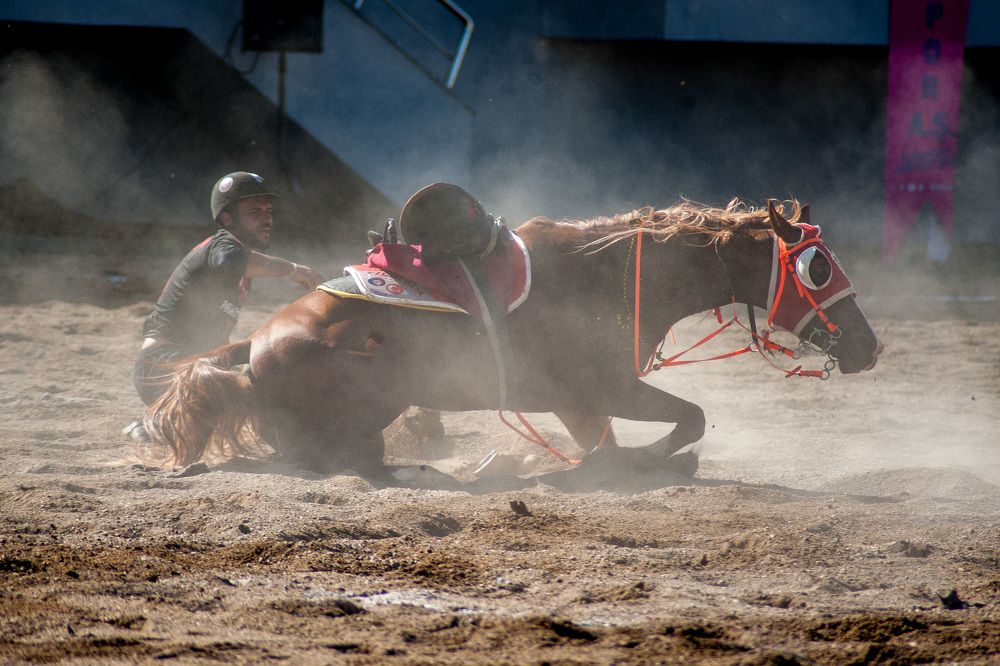 Photograph by DAMOUN POURNEMATI