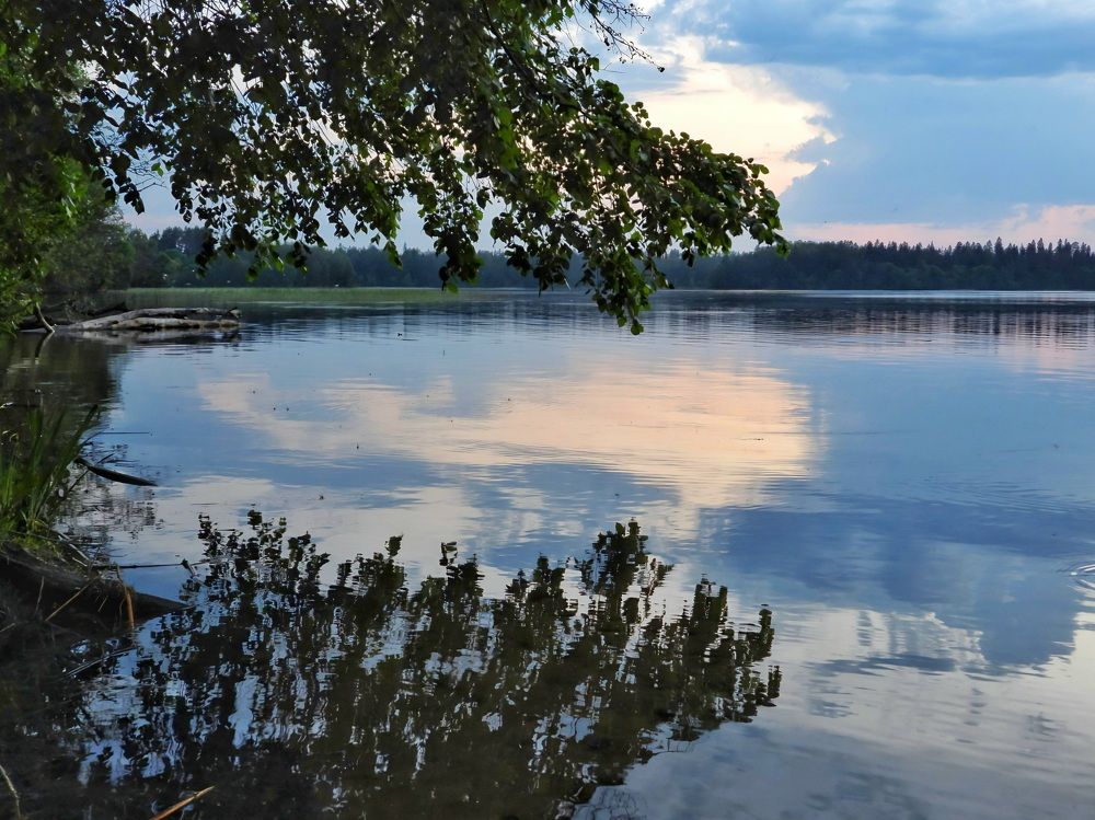 Photograph by Александр Шаварин