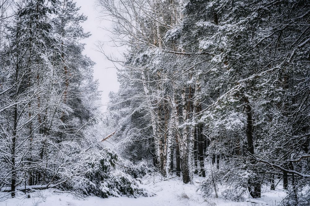 Фотография автора Ильченко Оксана