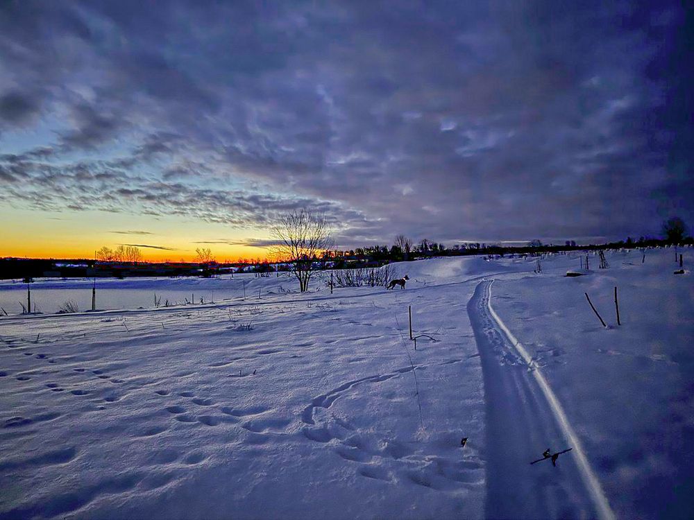 Photograph by Владимир Баулин