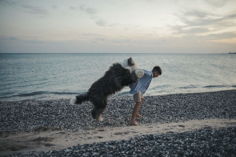 Photograph by Ирина Тищенко