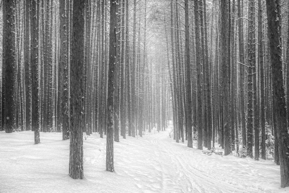 Photograph by Соколова Елена