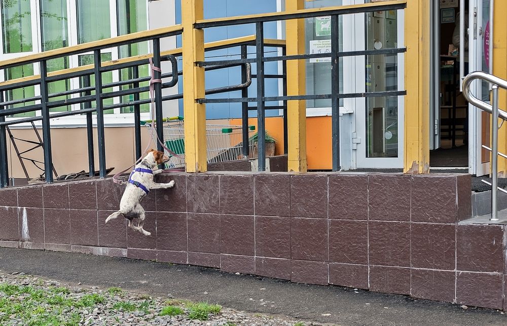 Photograph by Валерий Клейменов