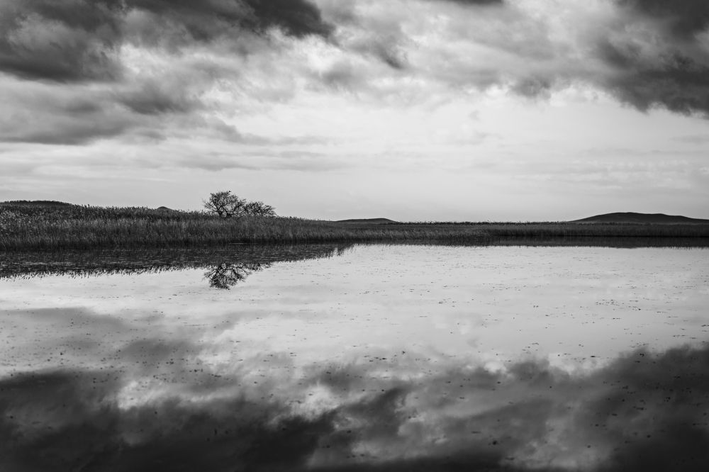 Фотография автора Даниил Берко