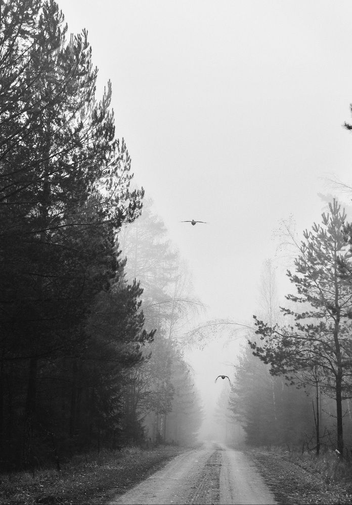 Photograph by Наталья Сергеева