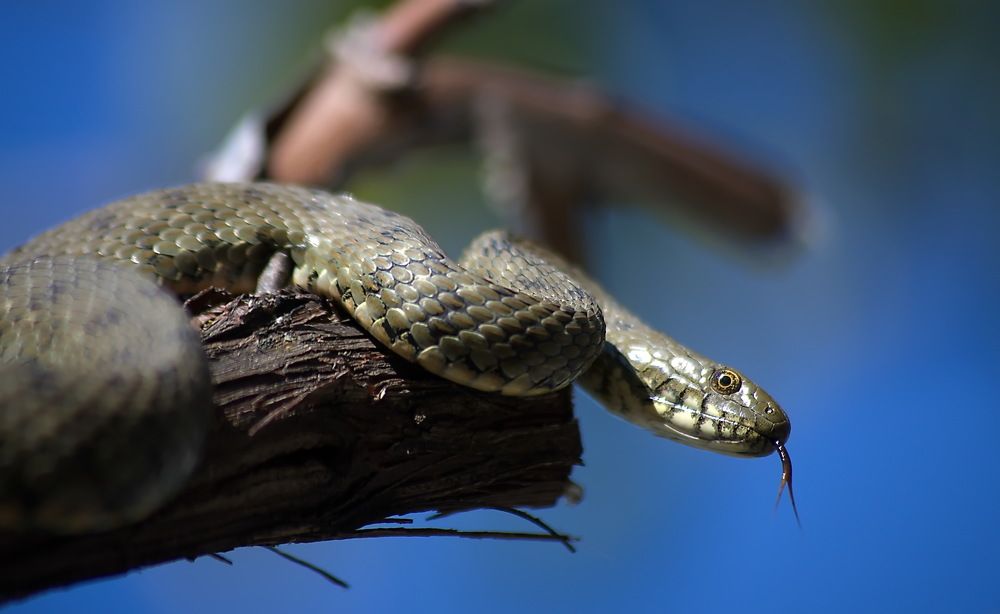 Photograph by Анатолий Святой