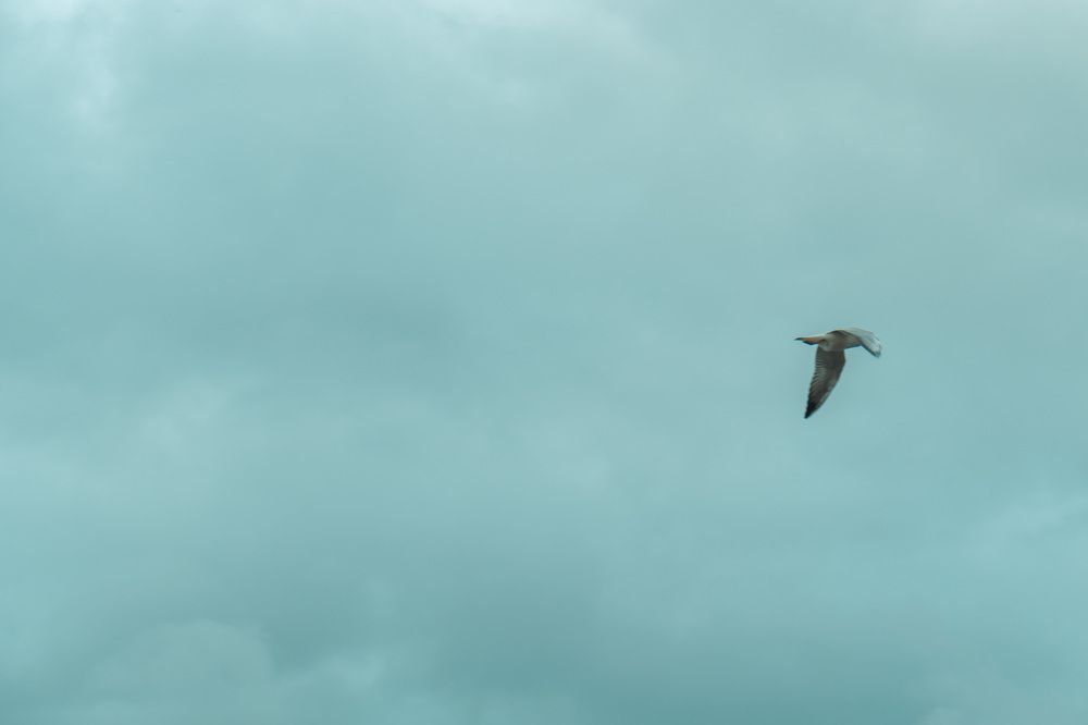 Photograph by Сергей Ларкин