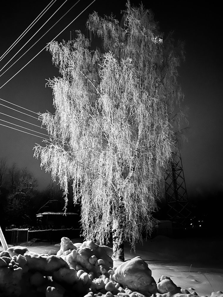 Photograph by Ирина Селиверстова