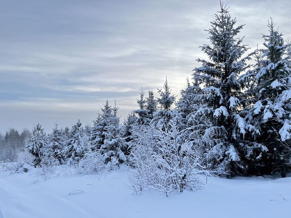 Photograph by Ирина Селиверстова